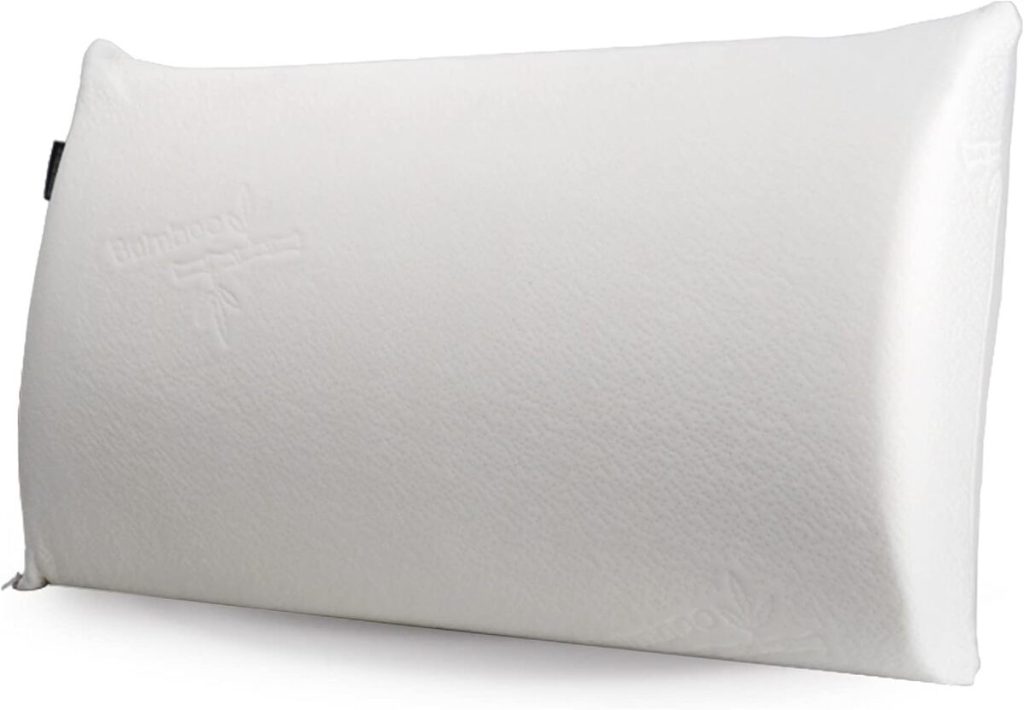 Test : oreiller nomade Linnea visco-végétal mémoire de forme