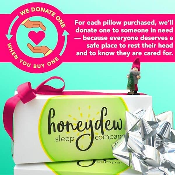 Découvrez notre avis sur l'oreiller de voyage Honeydew Scrumptious : un mélange parfait de confort et de fraîcheur pour améliorer vos voyages et nuits étoilées