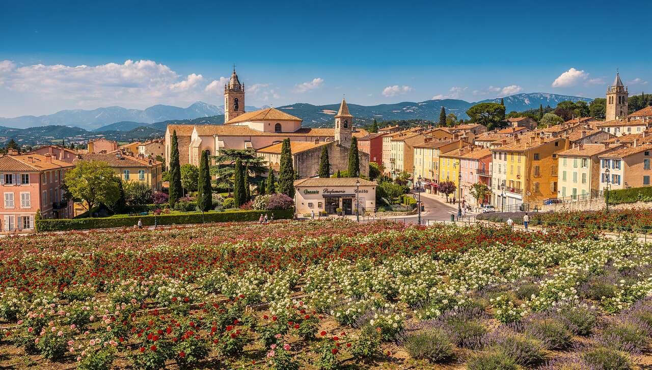 Que faire à Grasse ? - Activités incontournables