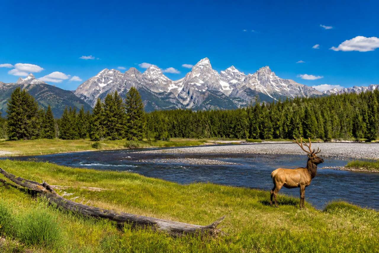 Comment Se Rendre À Yellowstone Et Grand Teton National Park ?